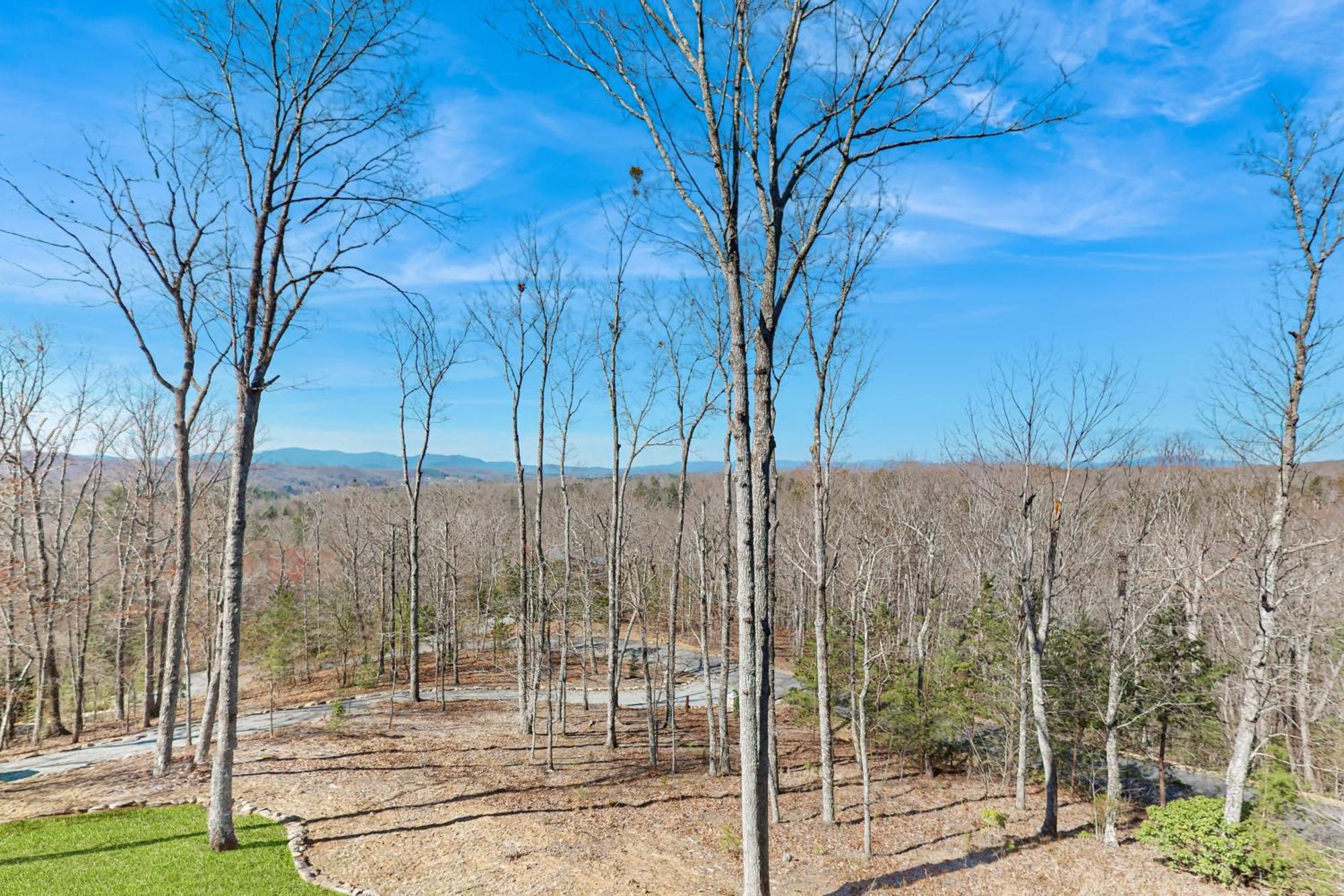 Bougie Bear Cabin Morganton Exterior foto